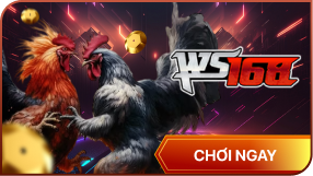 5860cb10137b15f65732b04bcb2a5b4c